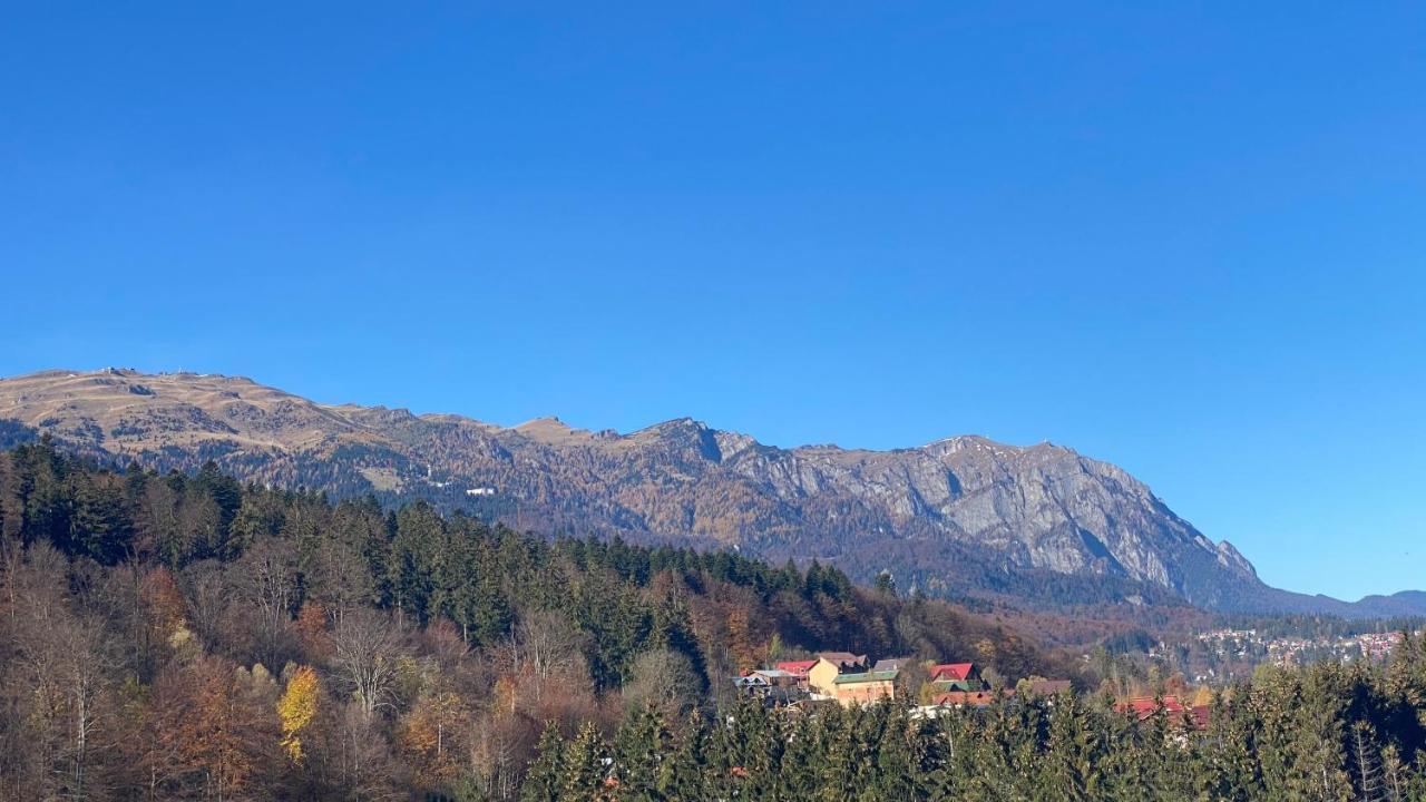 Perfect View Apartment Sinaia Buitenkant foto