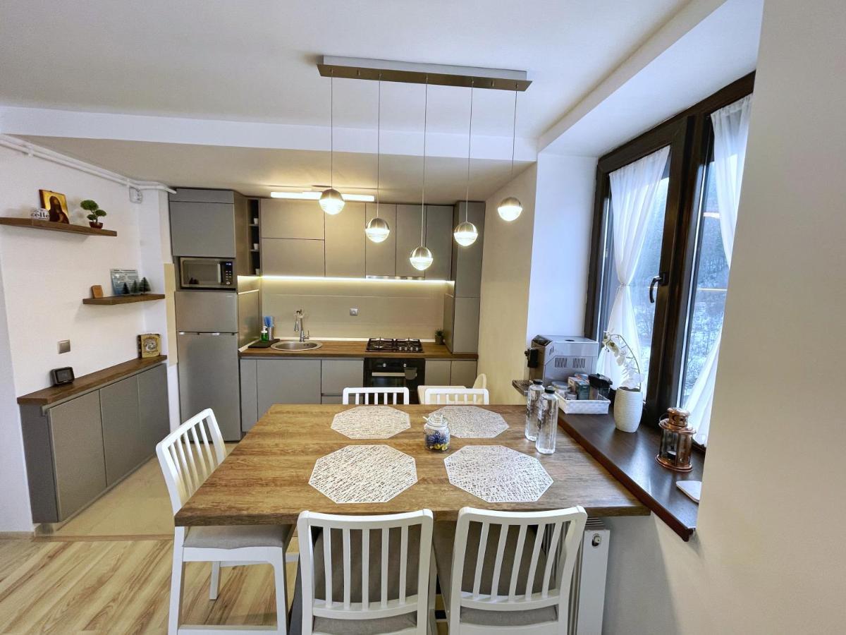 Perfect View Apartment Sinaia Buitenkant foto